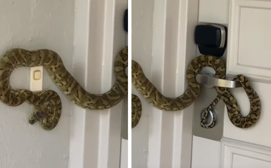 Συναγερμός&#8230; αυξημένης ασφαλείας