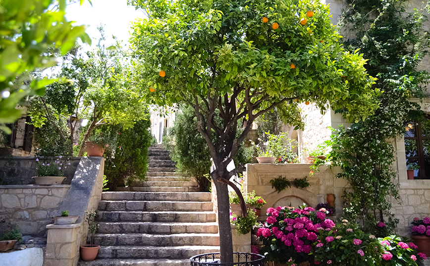 Μαργαρίτες, Ρέθυμνο Μαργαρίτες, Ρέθυμνο