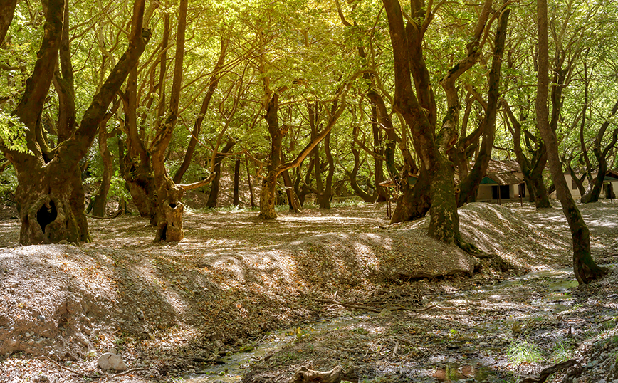Πλανητέρο, Αχαΐα Πλανητέρο, Αχαΐα