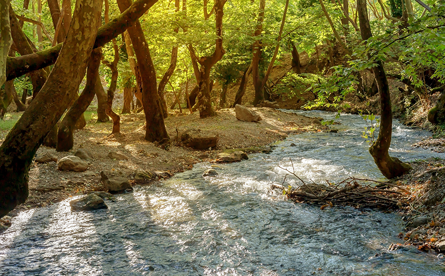 Πλανητέρο, Αχαΐα Πλανητέρο, Αχαΐα