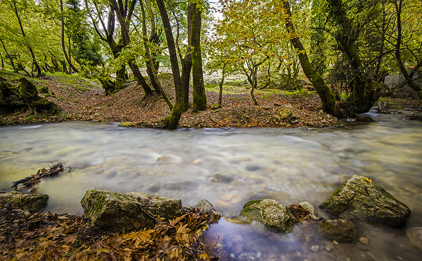 Πλανητέρο, Αχαΐα Πλανητέρο, Αχαΐα