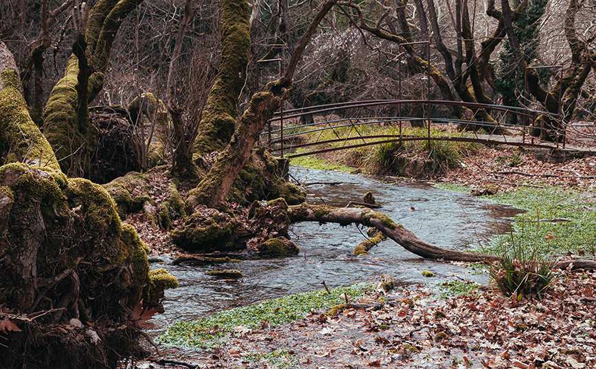 Πλανητέρο, Αχαΐα Πλανητέρο, Αχαΐα