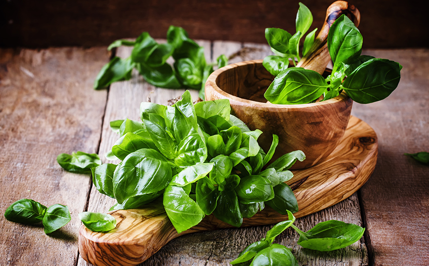 Βασιλικός Βασιλικός