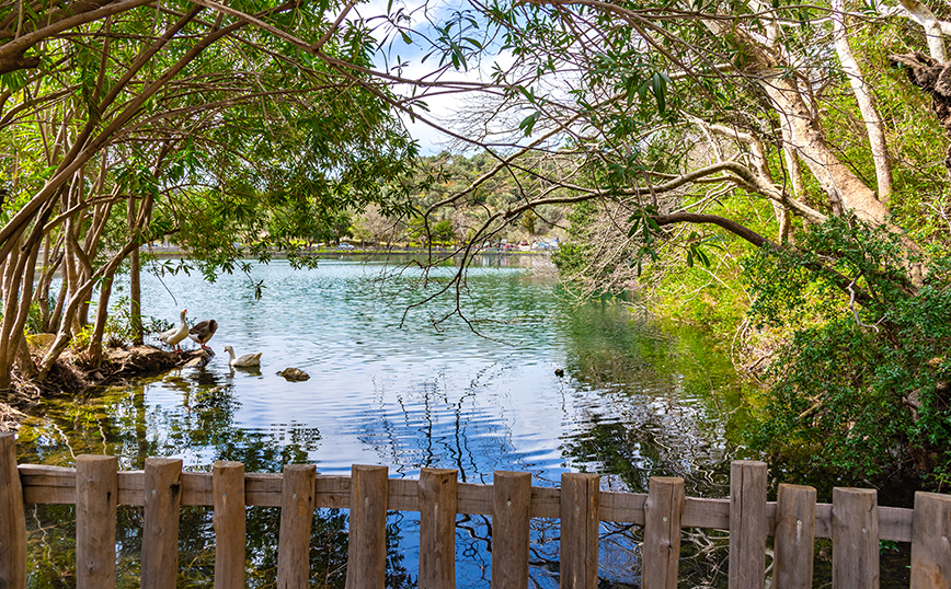 Λίμνη Ζαρού, Ηράκλειο Λίμνη Ζαρού, Ηράκλειο