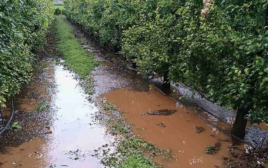 Σφοδρή χαλαζόπτωση κατέστρεψε καλλιέργειες στη Θεσσαλία