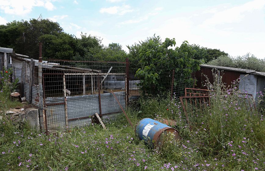 Θρίλερ με τον θάνατο της 68χρονης κτηνοτρόφου από την Καβάλα: Στο «φως» νέα στοιχεία – «Είχε χάσει 2 λίτρα αίμα»