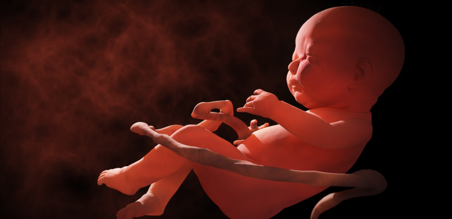 Επιστήμονες ανακοίνωσαν πως έφτιαξαν συνθετικά ανθρώπινα έμβρυα χωρίς ωάρια και σπερματοζωάρια