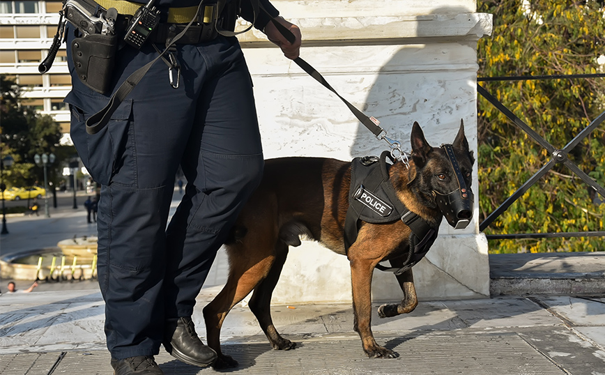 Ξεσπά ο αδερφός του αστυνομικού – χειριστή λαγωνικού Κ9 που αυτοκτόνησε: «Αυτός τον οδήγησε στον θάνατο»