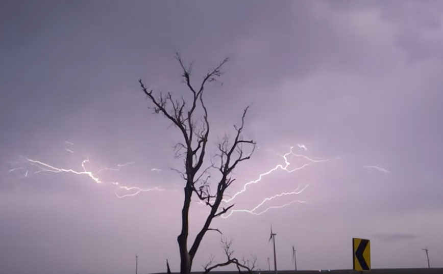 Ο κεραυνός&#8230; δέντρο