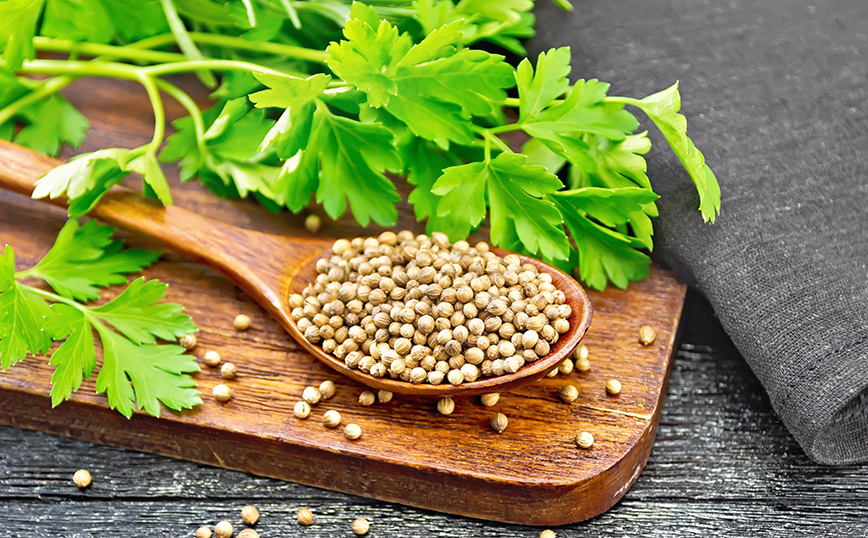 Κόλιανδρος Κόλιανδρος