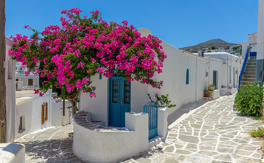 Λεύκες, Πάρος