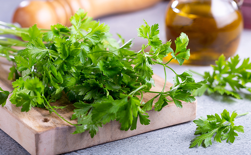 Μαϊντανός Μαϊντανός