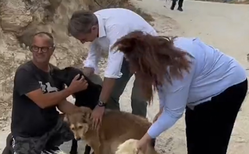 Το TikTok του Μητσοτάκη από την επίσκεψη στο καταφύγιο ζώων στην Ιεράπετρα – «Ο Πίνατ εγκρίνει!»