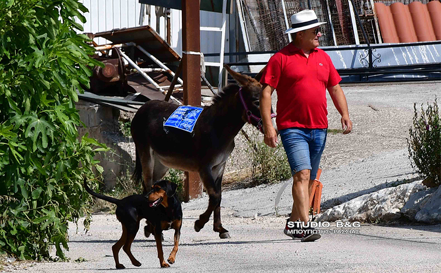 Αγρότης από το Ναύπλιο πήγε να ψηφίσει μαζί με το γαϊδουράκι του