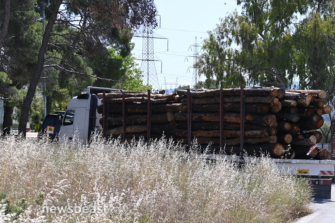 προετοιμασία για τις φωτιές προετοιμασία για τις φωτιές