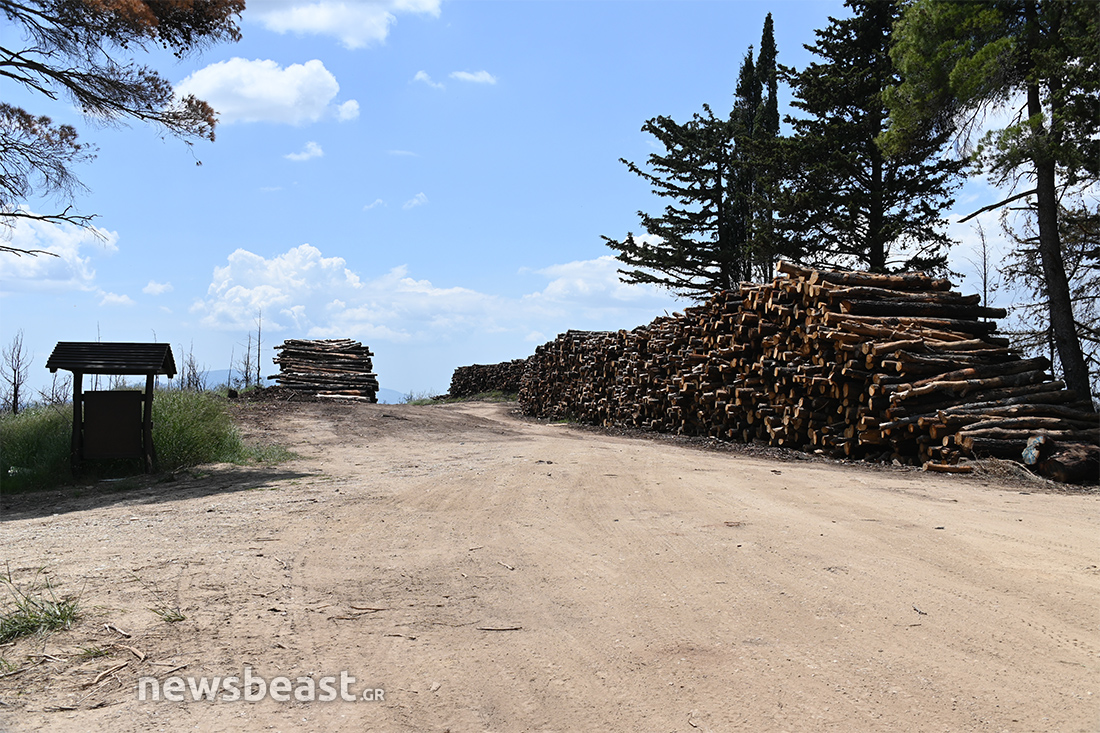 προετοιμασία για τις φωτιές προετοιμασία για τις φωτιές