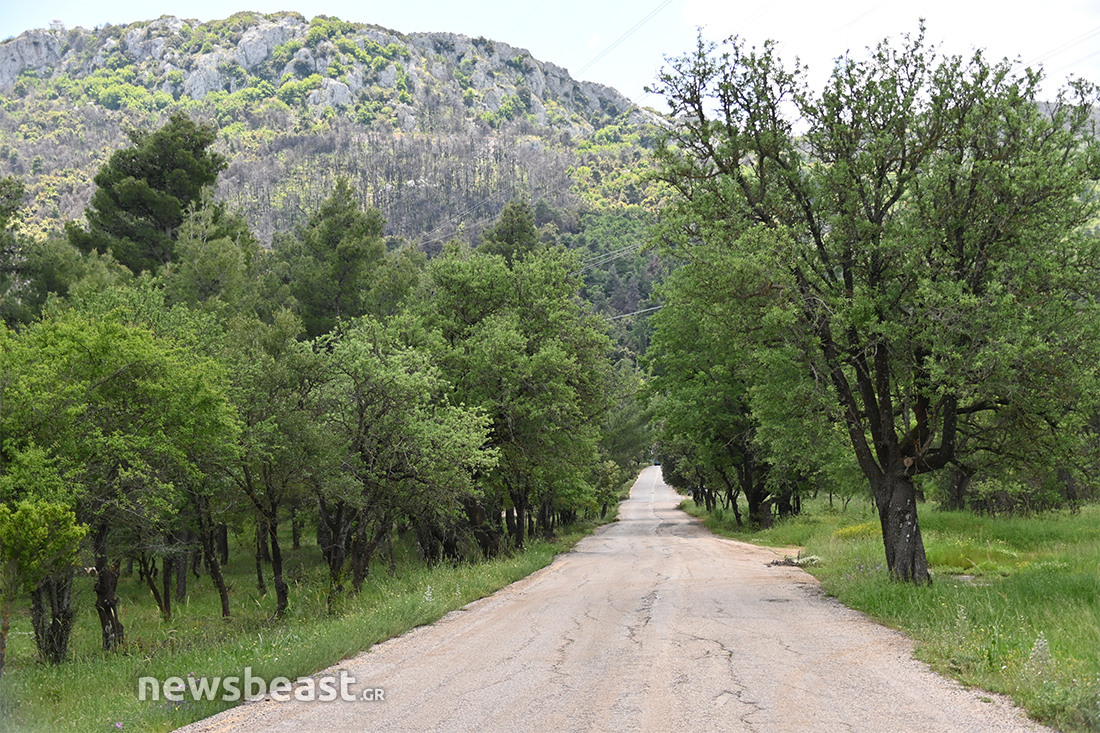 προετοιμασία για τις φωτιές προετοιμασία για τις φωτιές