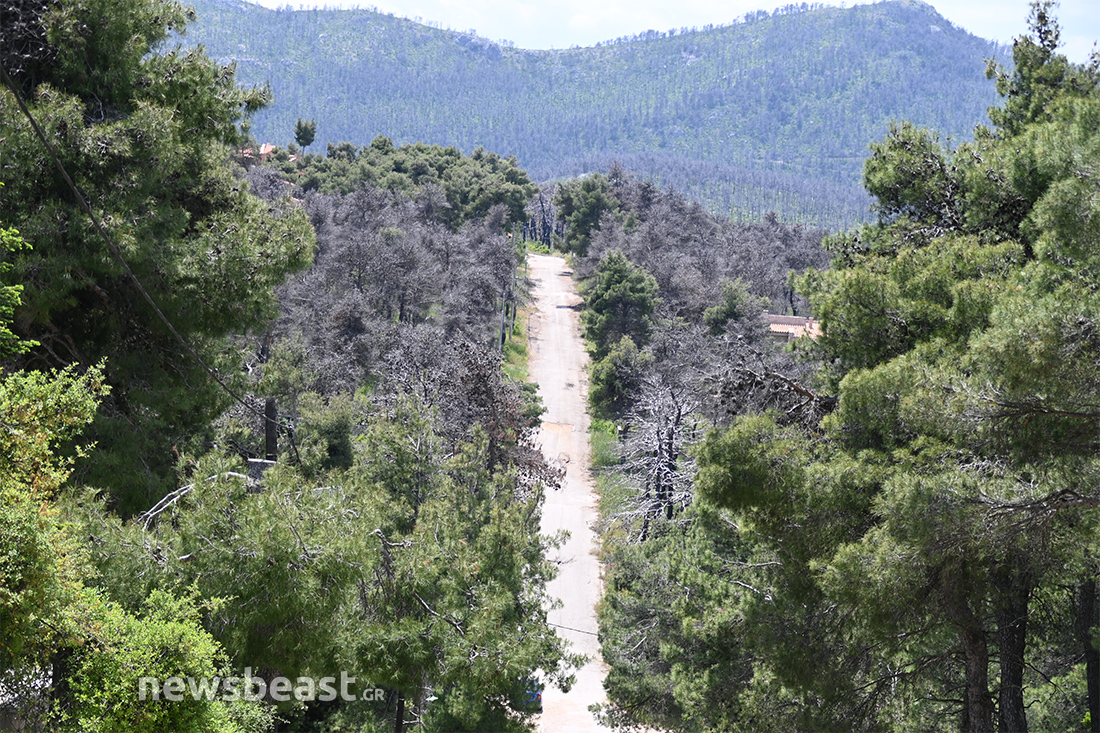 προετοιμασία για τις φωτιές προετοιμασία για τις φωτιές