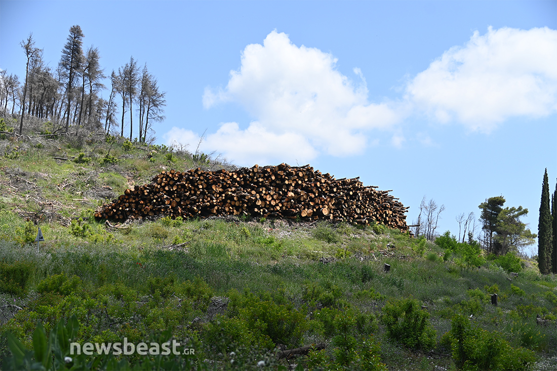 προετοιμασία για τις φωτιές προετοιμασία για τις φωτιές