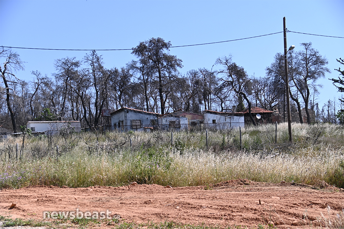 προετοιμασία για τις φωτιές προετοιμασία για τις φωτιές