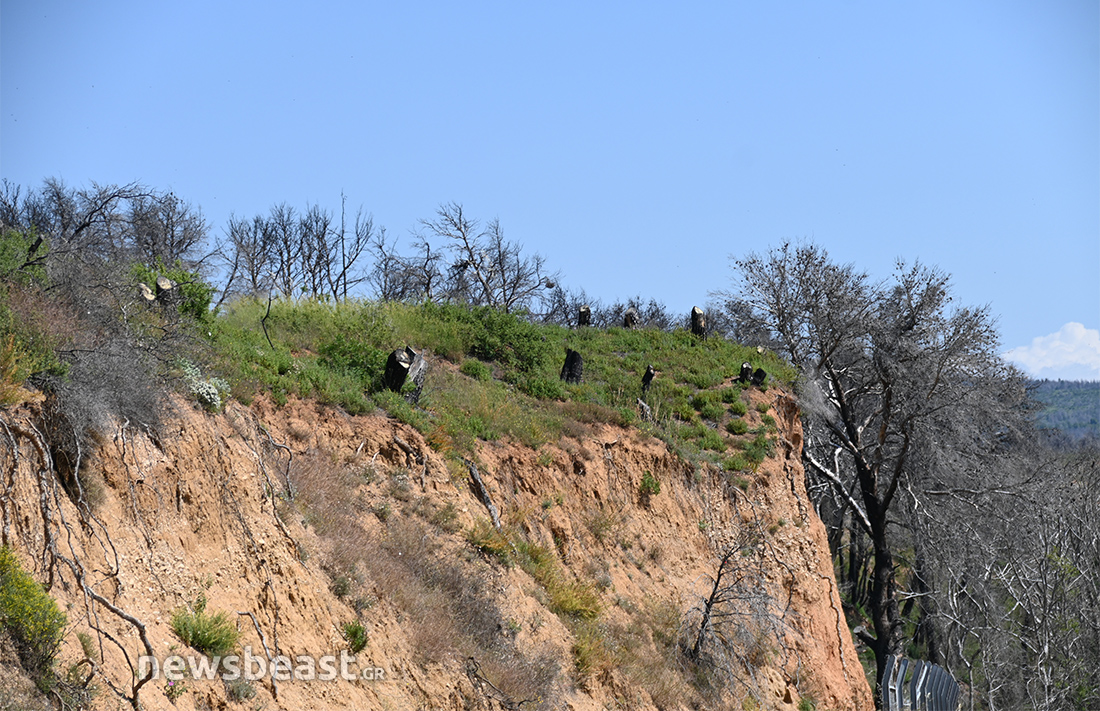 προετοιμασία για τις φωτιές προετοιμασία για τις φωτιές