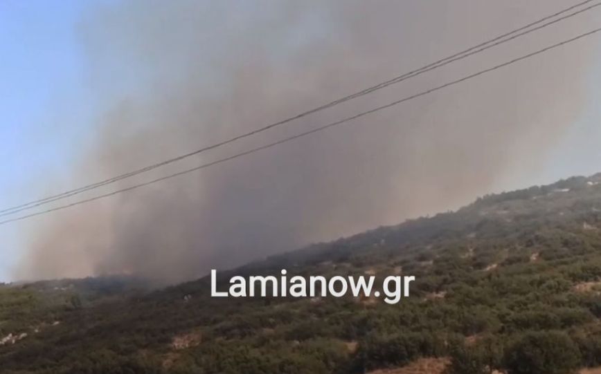 Φωτιά στη Λαμία: Εκκενώνεται η Αμφιθέα