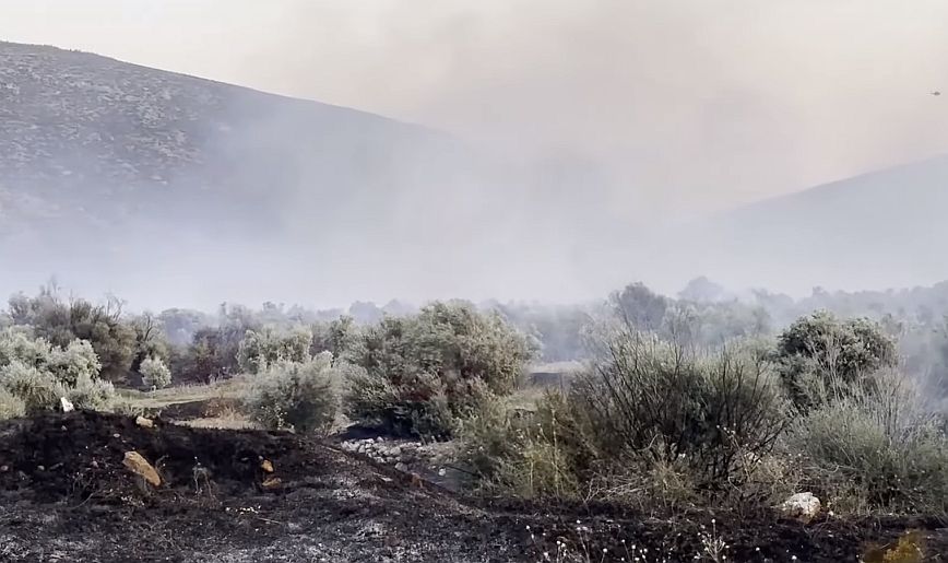 Φωτιά στην περιοχή Πρόδρομος Βοιωτίας &#8211; Ολονύχτια μάχη με τις φλόγες για να μην υπάρξει αναζοπύρωση &#8211; Μήνυμα από το 112