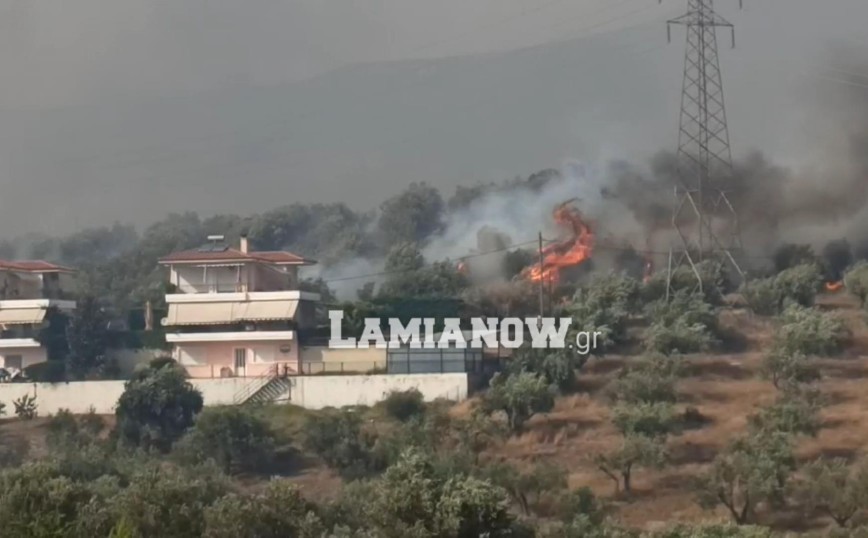 Φωτιά τώρα στη Λαμία: Νέο μήνυμα από το 112 – Εκκενώνονται Νέα Μαγνησία, Μεγάλη Βρύση και Αγία Παρασκευή