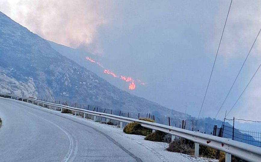 Φωτιά στη Νάξο: Ενισχύονται οι δυνάμεις της Πυροσβεστικής &#8211; Ρίψεις νερού από έξι εναέρια μέσα