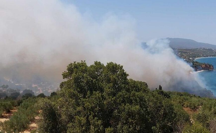 Οριοθετήθηκε η φωτιά στη Μεσσηνία – Μεγάλη κινητοποίηση της Πυροσβεστικής