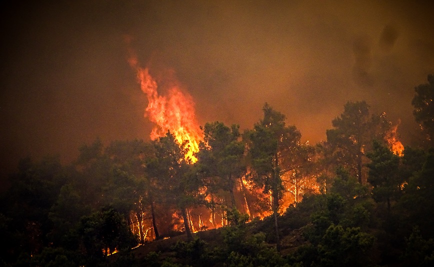 Συγκλονίζει τουρίστας για τη φωτιά στη Ρόδο: «Ήταν σαν την Κόλαση του Δάντη – Παιδιά έκλαιγαν μαζί με τους γονείς»