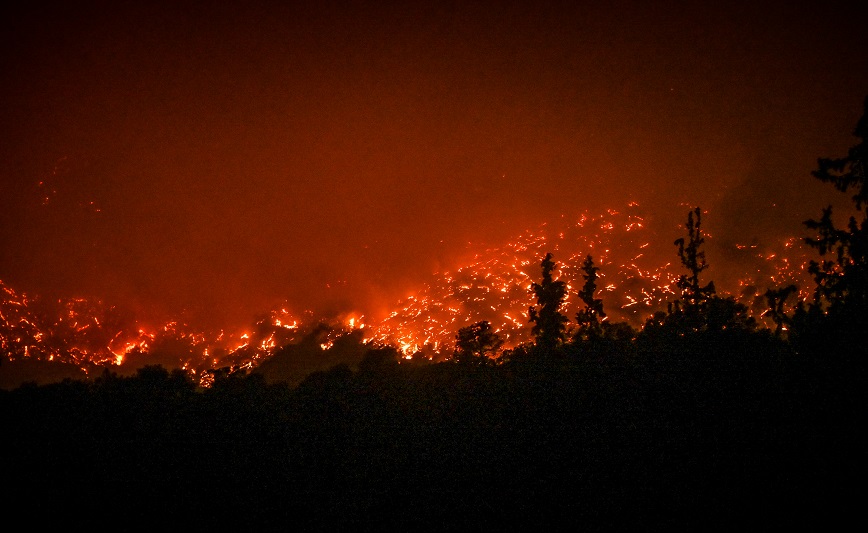 Φωτιά στο Αίγιο: Μήνυμα του 112 στην Τράπεζα Αχαΐας – «Εκκενώστε προς Ακράτα»