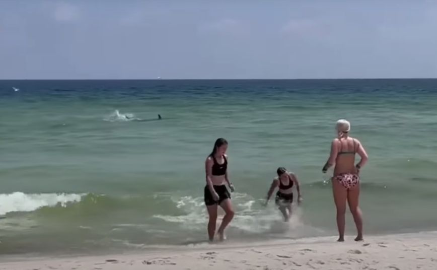 Βίντεο που κόβει την ανάσα &#8211; Καρχαρίας εμφανίζεται σε παραλία γεμάτη κόσμο και προκαλεί πανικό