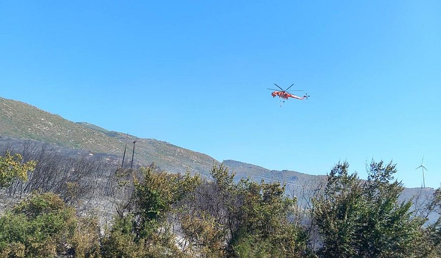 Υπό μερικό έλεγχο η φωτιά στα Τέμπη &#8211;  Ξεκίνησε από εν κινήσει τροχόσπιτο