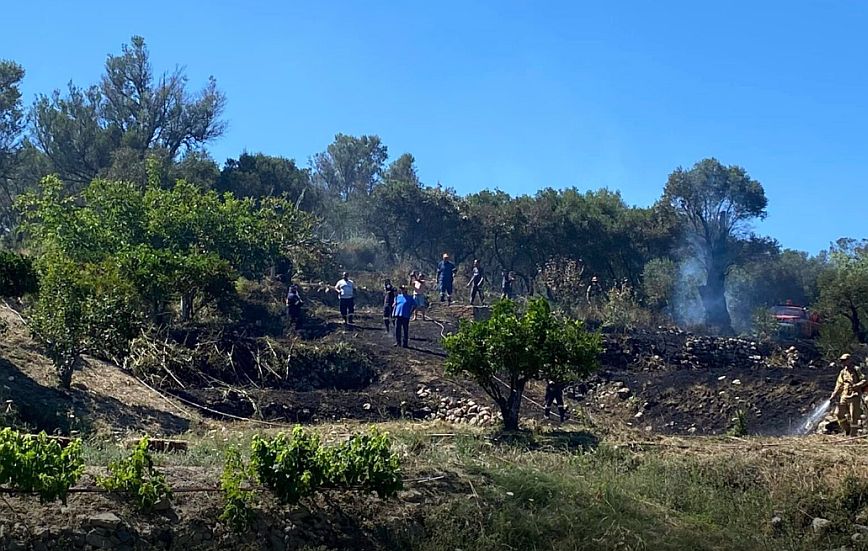 Σάμος: Ένας 32χρονος συνελήφθη για τη φωτιά στο Καρλόβασι