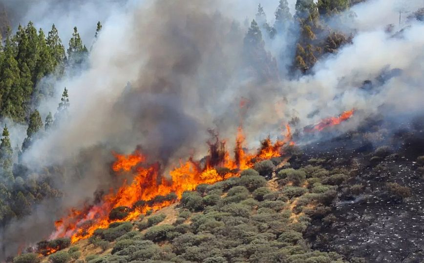 Ισπανία: Τουλάχιστον 500 άνθρωποι απομακρύνθηκαν από τα σπίτια τους λόγω των πυρκαγιών στα Κανάρια Νησιά