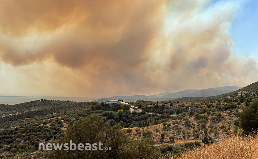 Φωτιά στη Μαγνησία: Αναστέλλονται οι πληρωμές των κατοίκων προς τον Δήμο μέχρι τον Οκτώβριο