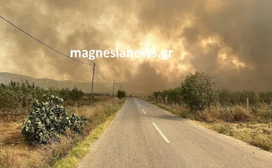 Φωτιά στη Μαγνησία: Εκκενώνονται Βελεστίνο, Σέσκλο και ΒΙΠΕ – Κλειστή η εθνική οδός, τραυματίστηκε πυροσβέστης