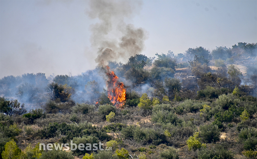 Μάχη με εστίες φωτιάς στα Δερβενοχώρια, καλύτερη η εικόνα της πυρκαγιάς στη Ρόδο