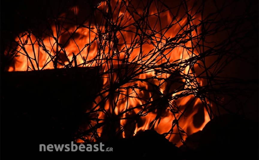 Φωτιά στη Μαγνησία: Μαίνεται το μέτωπο στο Βελεστίνο &#8211; Δραματικές στιγμές έζησαν οι κάτοικοι της Νέας Αγχιάλου