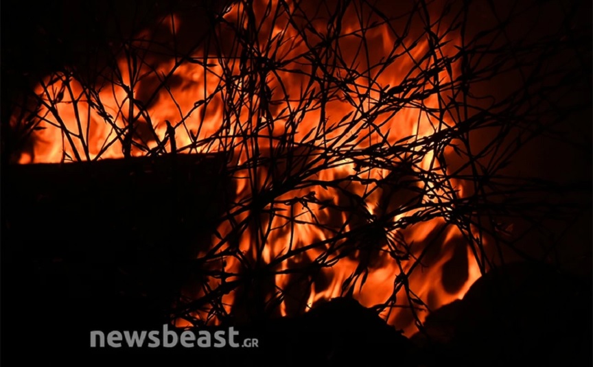 Φωτιά στη Μαγνησία: Μαίνεται το μέτωπο στο Βελεστίνο – Δραματικές στιγμές έζησαν οι κάτοικοι της Νέας Αγχιάλου
