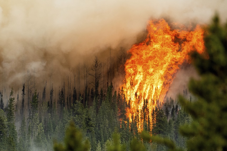 «Μακρύ και δύσκολο καλοκαίρι» στον Καναδά &#8211; 90 εκατ. στρέμματα έχουν απανθρακωθεί και οι δασικές πυρκαγιές αυξάνονται