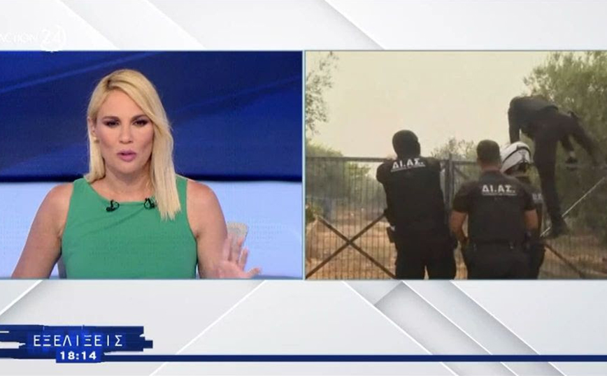 Ντόρα Κουτροκόη: Ξαφνιάστηκε με σχόλιο του Al Jazeera για τις φωτιές στην Ελλάδα – «Δεν το κατάλαβα»