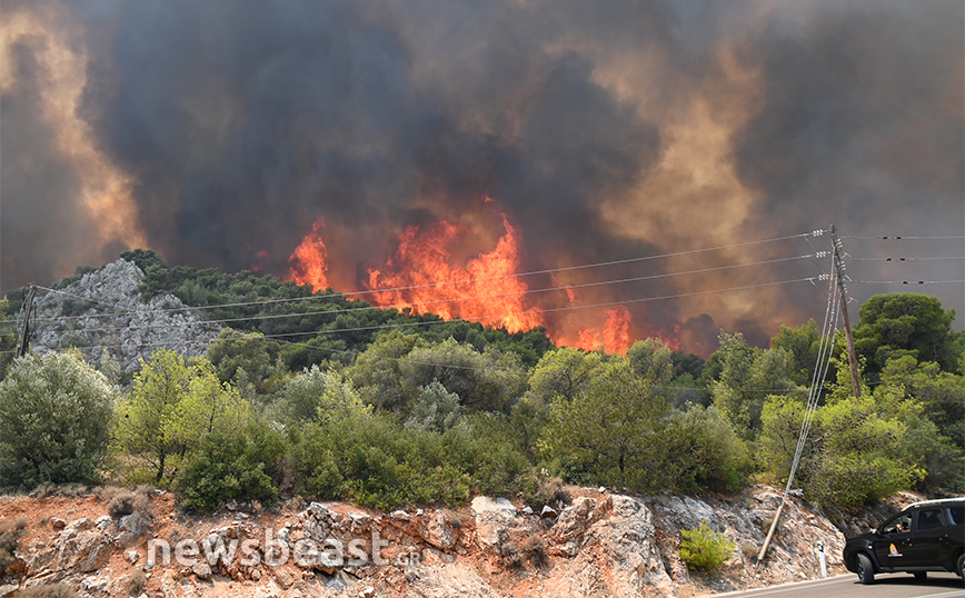 Φωτιά στα Δερβενοχώρια: Μήνυμα του 112 για εκκένωση των οικισμών Νέα Ζωή και Νέος Πόντος Μάνδρας