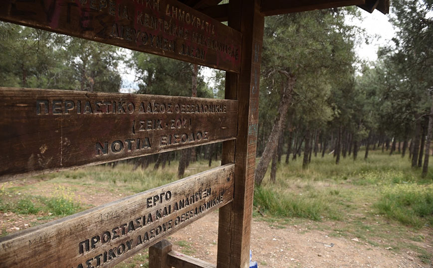 Πέταξε το αναμμένο τσιγάρο του στο δάσος του Σέιχ &#8211; Σου