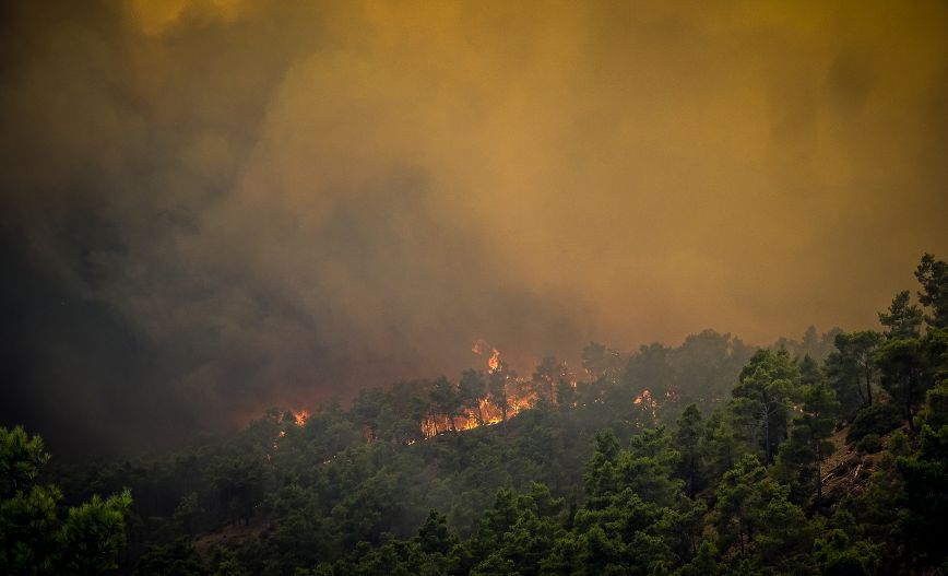 Φωτιά στη Ρόδο: Έφτασε στο νησί το κυβερνητικό κλιμάκιο