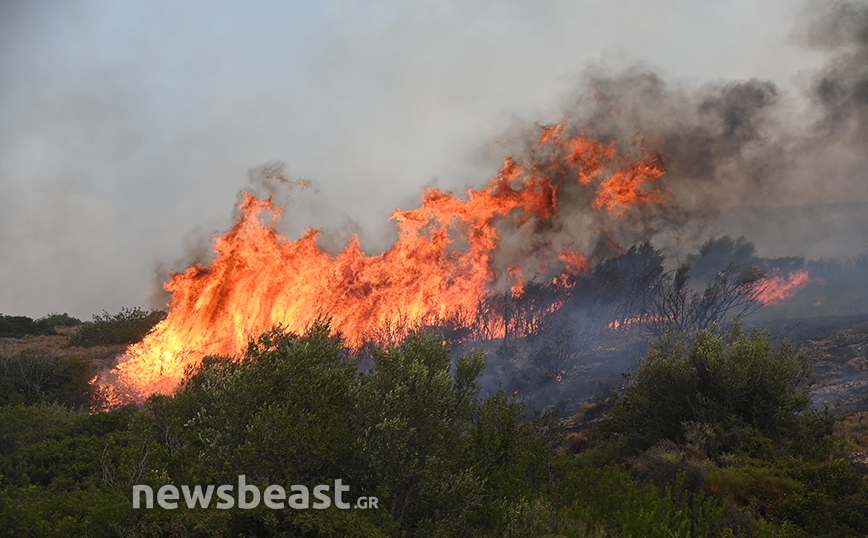 Δήμος Σαρωνικού: Ανακοίνωσε χώρους φιλοξενίας για όσους αναγκάστηκαν να εκκενώσουν τα σπίτια τους λόγω φωτιάς
