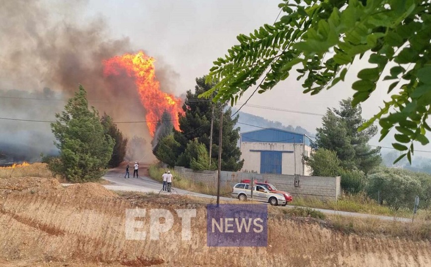 Φωτιά στη Μαγνησία: Επιχείρηση απεγκλωβισμού εργαζομένων από εργοστάσιο στο Σέσκλο