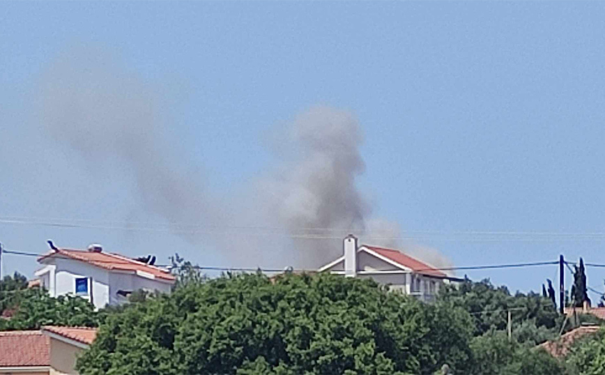Φωτιά τώρα σε δασική έκταση στην Κεφαλονιά – Καίει κοντά σε κατοικημένη περιοχή
