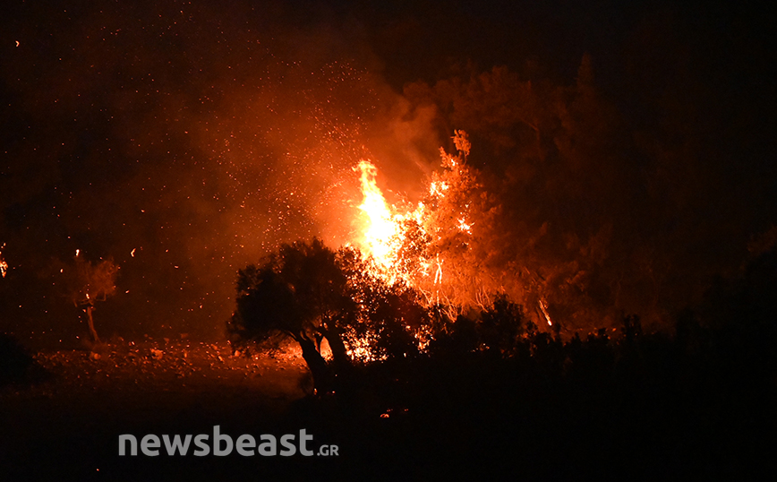 «Ξημερώνει δύσκολη μέρα»: Νέα ενημέρωση της Πυροσβεστικής για τα μέτωπα της φωτιάς